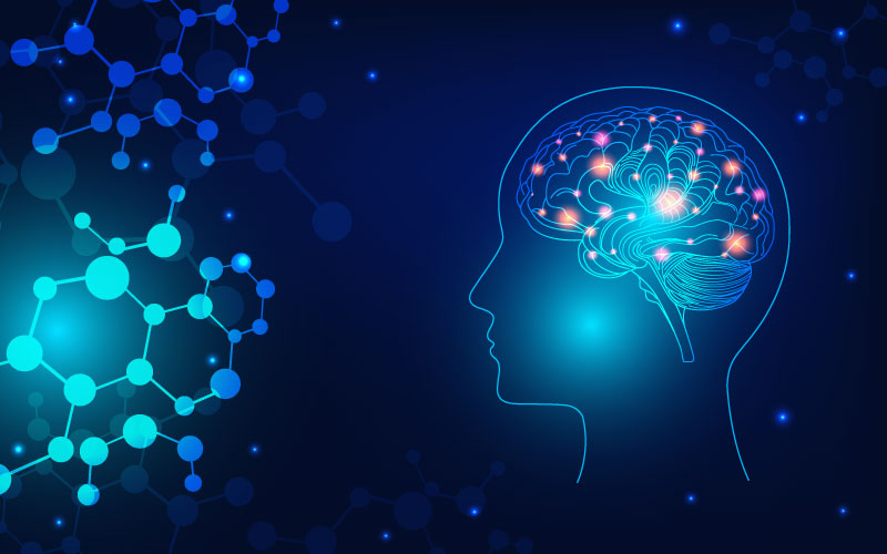 Futuristic brain