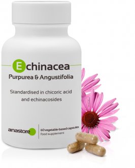 Echinacea Purpurea & Angustifolia