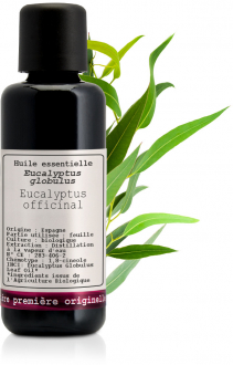 Organic Globulus eucalyptus Essential oil