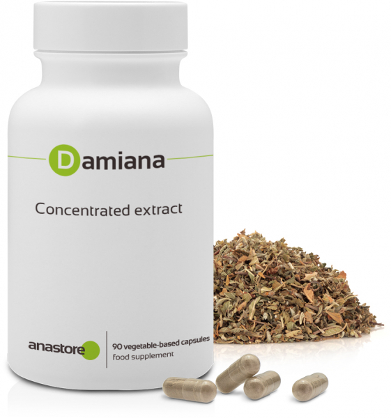 Damiana, a natural aphrodisiac and tonic. Concentrated
