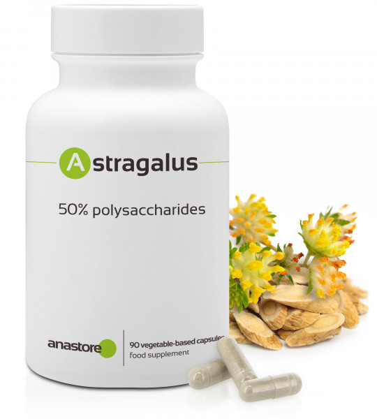 Buy ASTRAGALUS the millennial plant from Asia