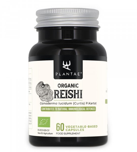 Organic Reishi