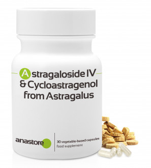 Astragaloside IV and Cycloastragenol from  Astragalus