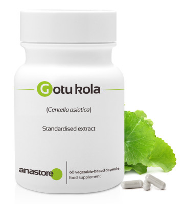 Helps maintain venous circulation