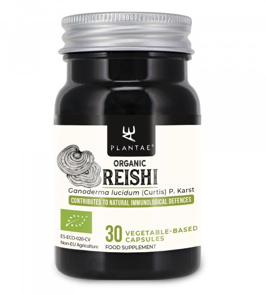 Organic Reishi