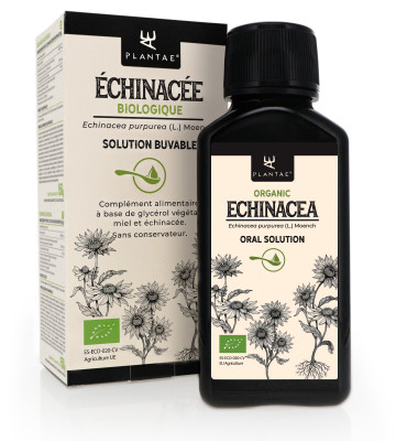 Echinacea supports your immune system