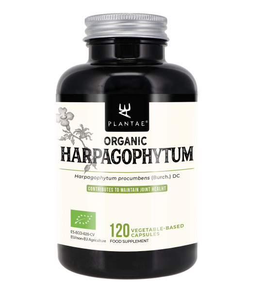 Organic harpagophytum