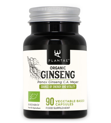 Ginseng provides energy and vitality